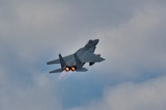 Ｆ１５