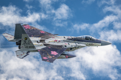 f-15