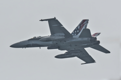 fa18a　ホーネット　silvereagles