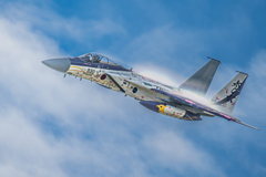 f-15