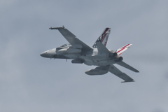 fa18a