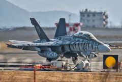 FA18ホーネット　タイガーストライプ　極東のベンガル虎