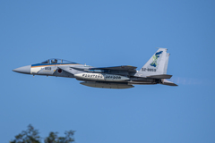 f-15