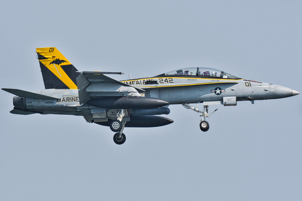 fa18ホーネット　　ハンドサイン