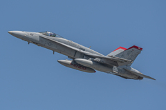 FA-18　レッドデビルズ