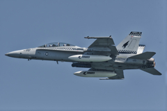 FA-18　hawks　00番機