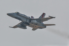 fa18a　ホーネット　silvereagles
