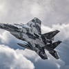 小松基地航空祭　F-15　イーグル