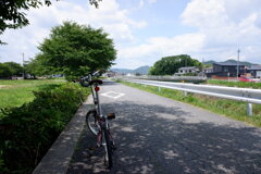 梅雨の中休み  サイクリング日和