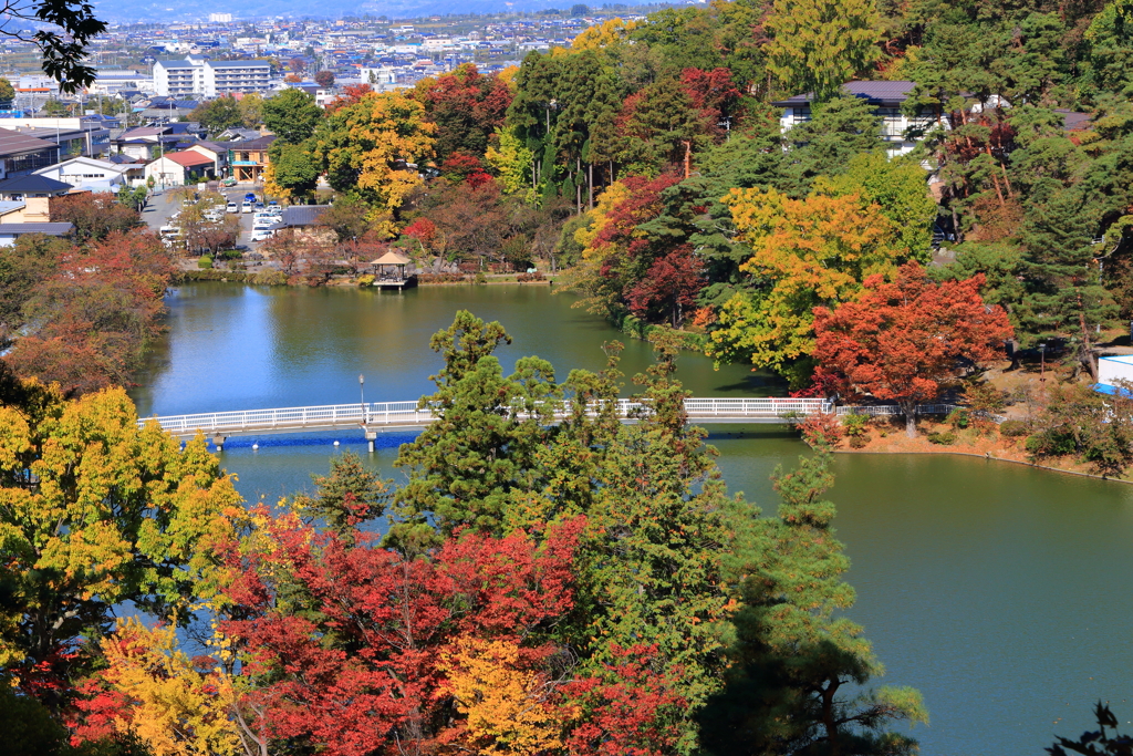 臥竜公園 秋