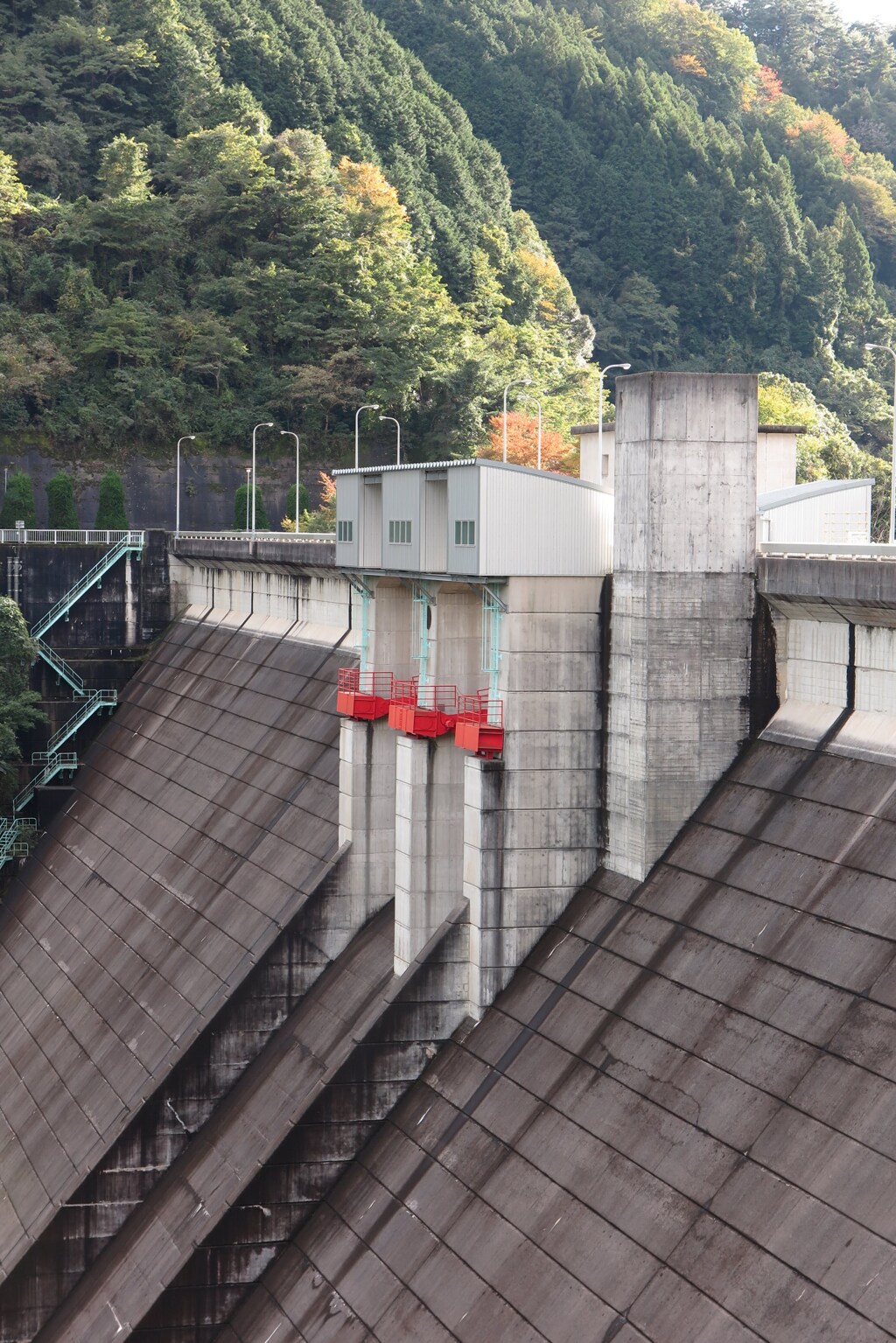ダム