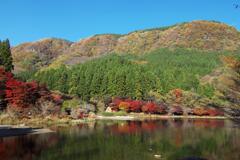 秋の碓氷湖にて (5)