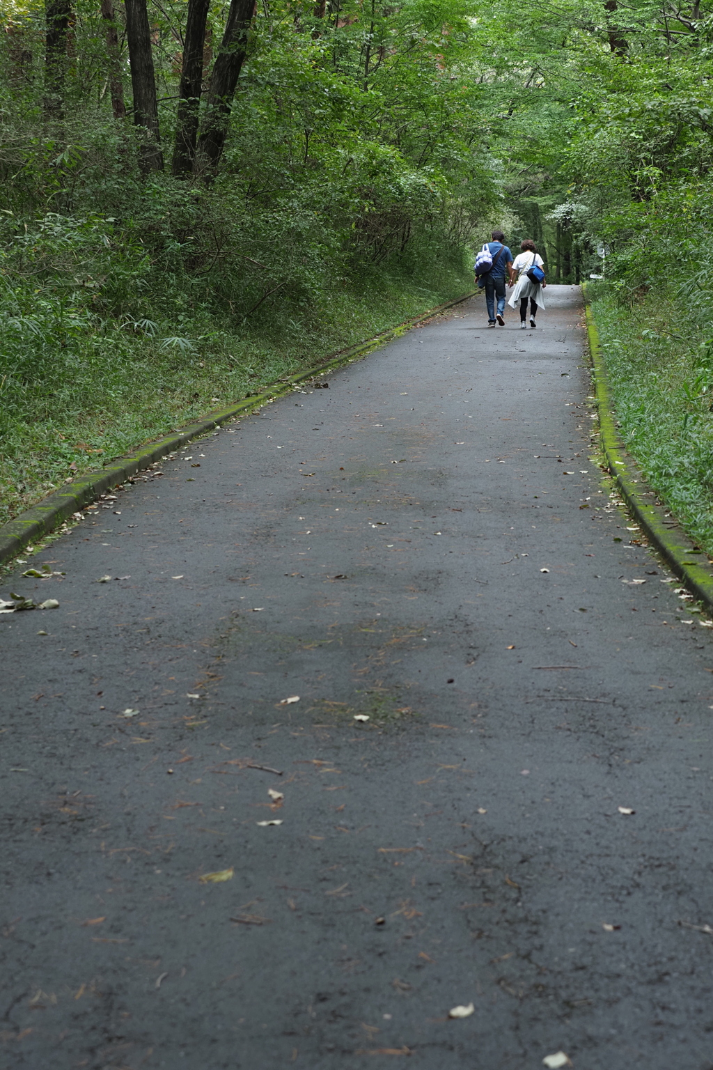 休日の帰り道