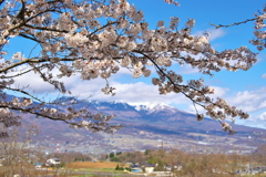 2020_04_19明神池にて (10)