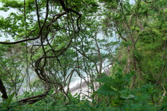 親不知にて (5)