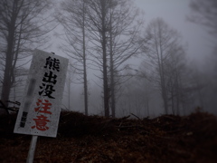 ナンカ・・・アブネーカモ