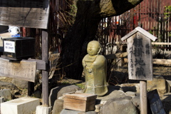 群馬 秋間梅林にて (5)