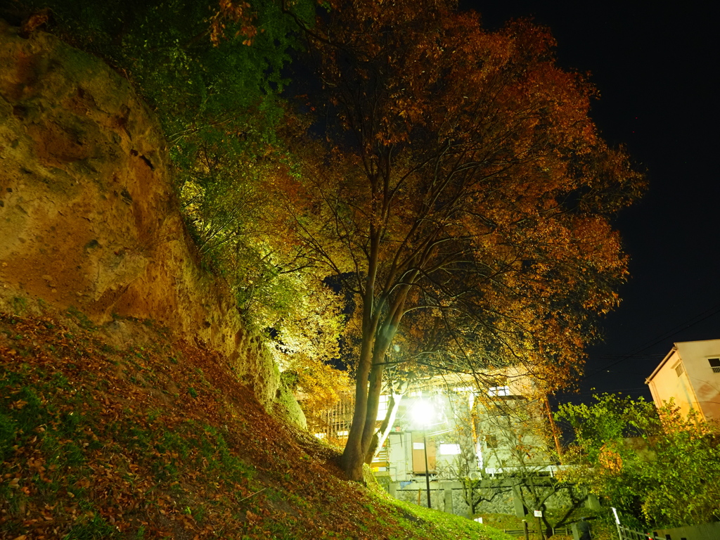 上田城・秋の夜 (8)