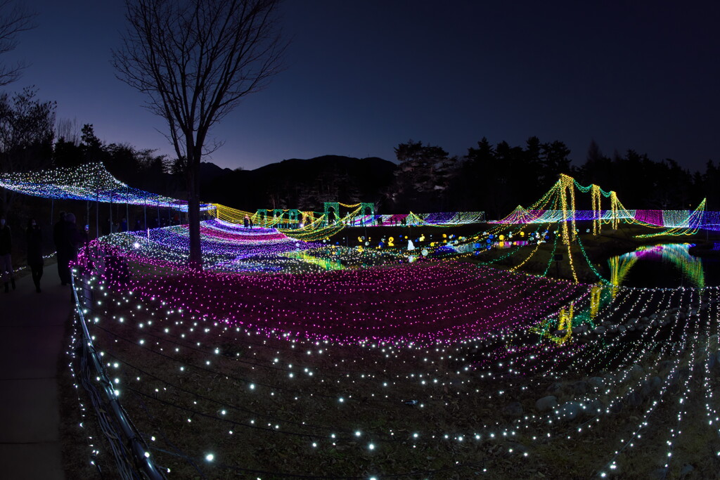 国営アルプス安曇野公園のイルミネーションより (6)