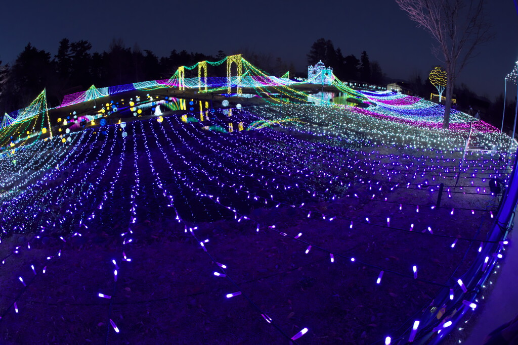 国営アルプス安曇野公園のイルミネーションより (7)