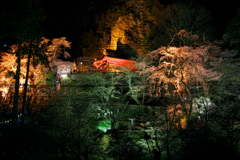 2019 夜の宝蔵寺 岩谷堂観音