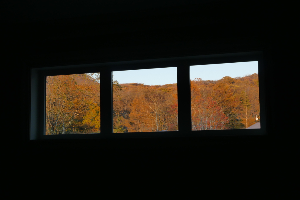 窓の中の秋色 (2)