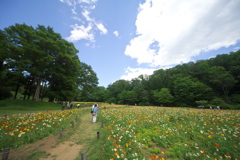 2018春 武蔵丘陵森林公園にて (2)