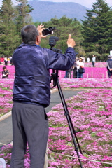 2019富士芝桜まつりにて 撮る人を撮る (2)