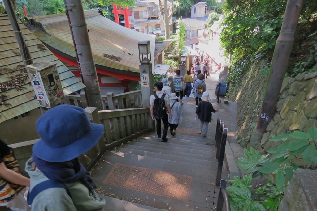 2017江の島 (1)