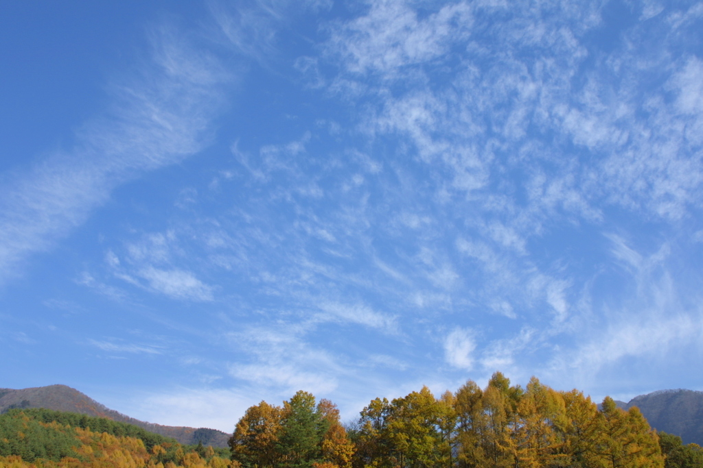 EOS D30の時 10