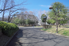 2019_03_02東京スナップ (4)