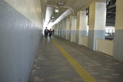 2019_03_02東京スナップ (2)