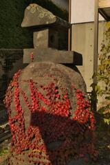 蔦の絡まる祠