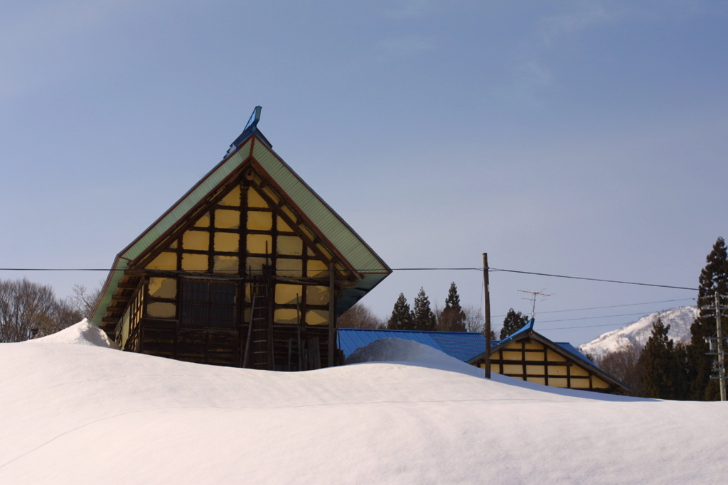 EOS D30の時 6