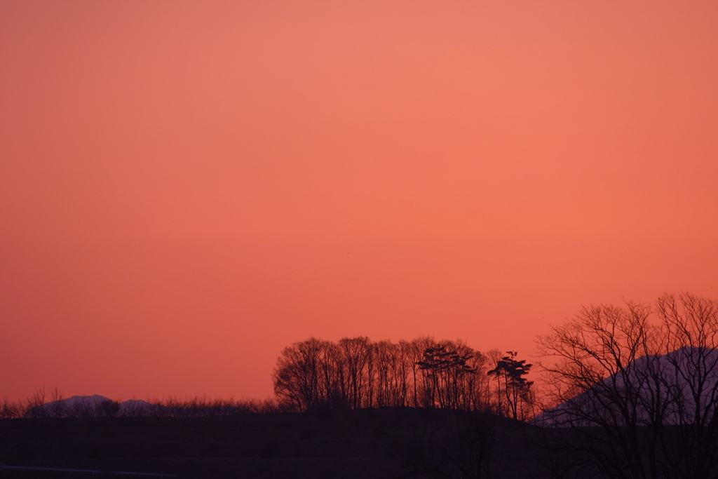 EOS D30の時 17(SILKYPIX10再処理) 春夕景