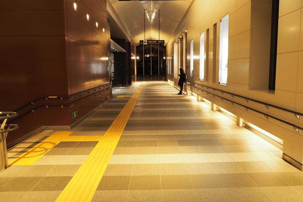 しなの鉄道の夜 (9)中軽井沢駅