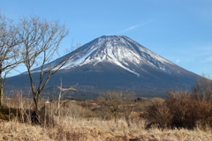 原野から富士山 2018