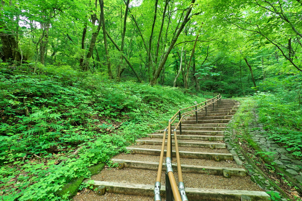 2020春の碓氷峠にて (7)