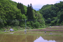 EOS D30の時 29