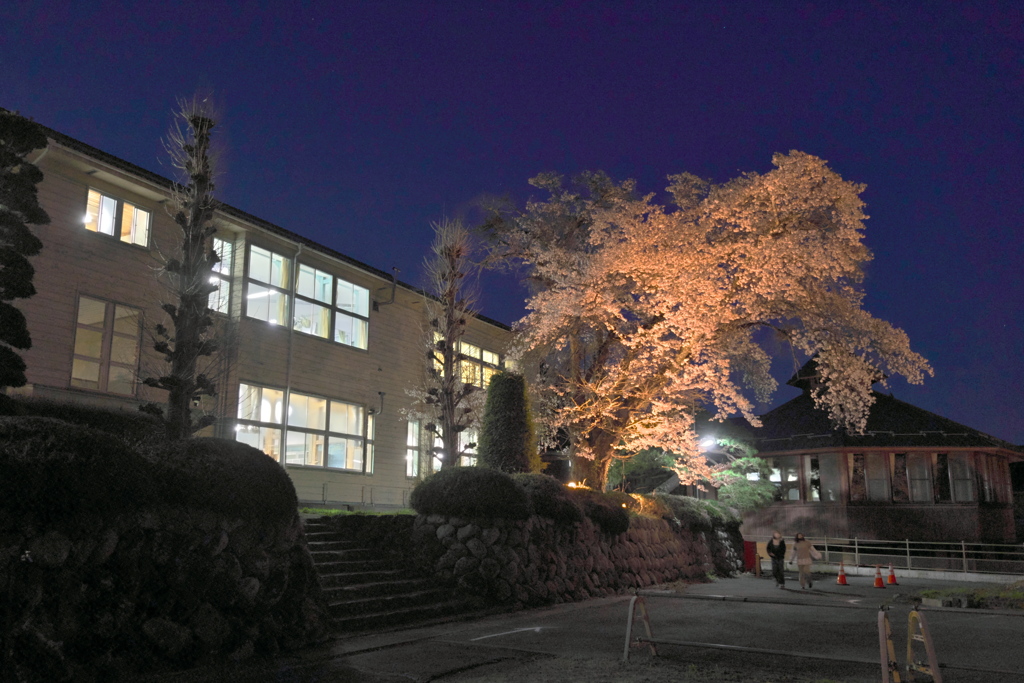 長和町 旧和田中学校ライトアップより (10)