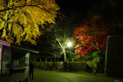 上田城・秋の夜 (2)