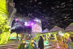 ぐんまフラワーパークのイルミネーションより (10)