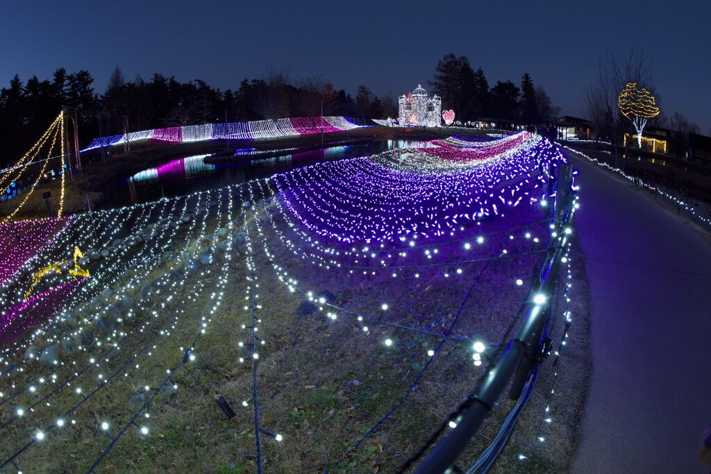 国営アルプス安曇野公園のイルミネーションより (5)