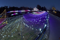 国営アルプス安曇野公園のイルミネーションより (5)