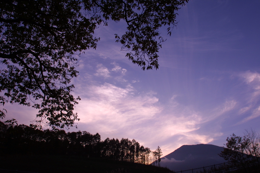 EOS D30の時 9