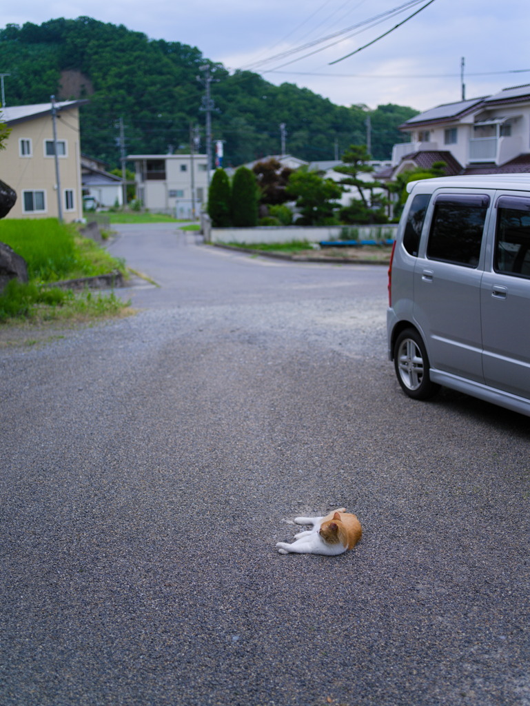 ソコ、アブナイヨ