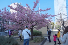 2019_03_02東京スナップ (1)