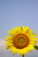 EOS D30の時 41