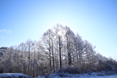 霧氷2018