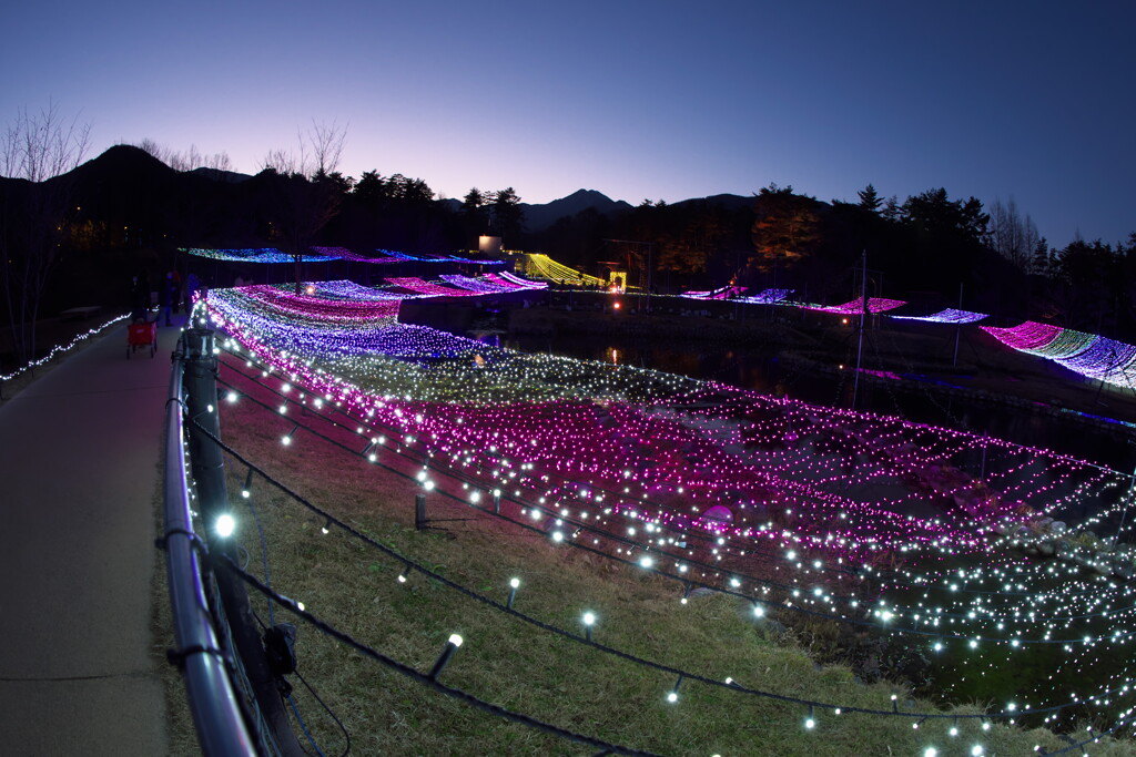 国営アルプス安曇野公園のイルミネーションより (4)